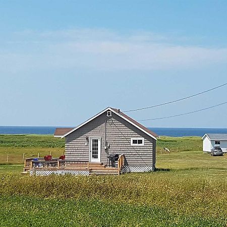 The Small Brown Cottage Sea View Exterior photo